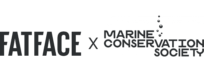 2517_FFxMCS_logo-grey (1) 3